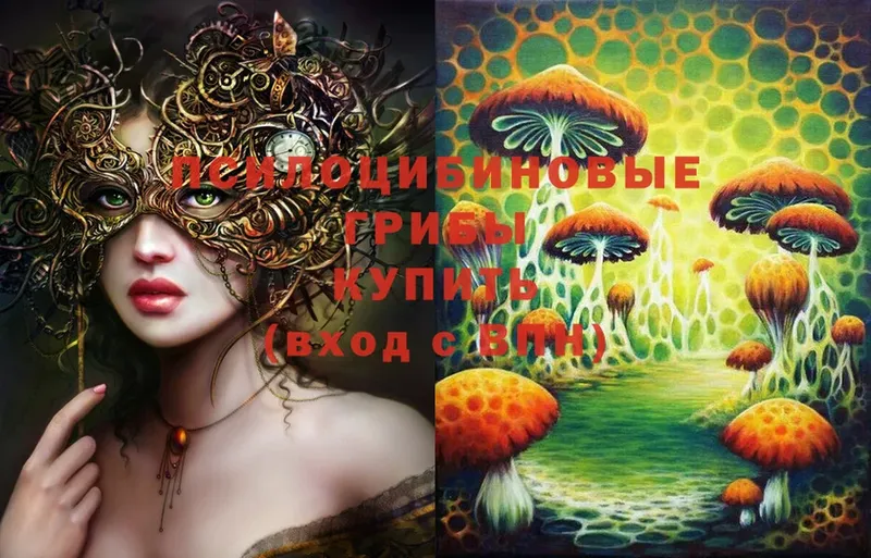 Галлюциногенные грибы Psilocybe  хочу наркоту  Невельск 